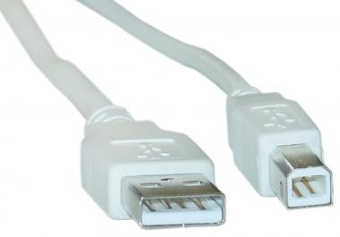 USB A/B Cable, 10ft